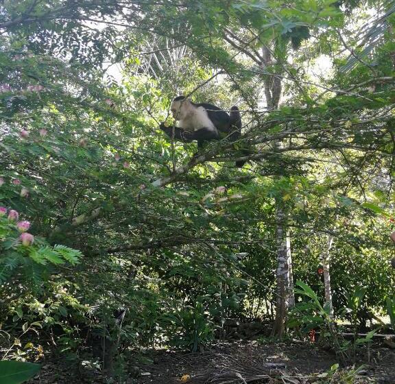 هتل Secret Garden