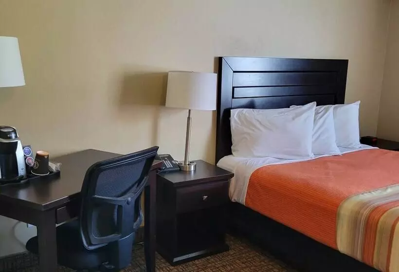 Hotelli The Sleepy Owl