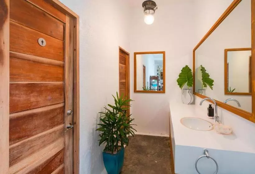 Hop Hostel