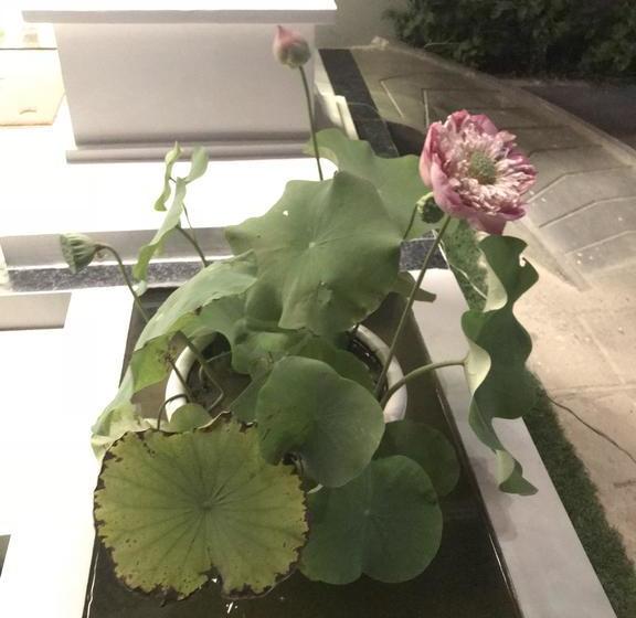 호텔 Sky Palace Boutique