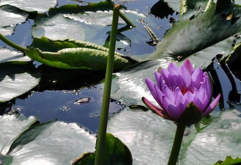 ホテル Undo Resort