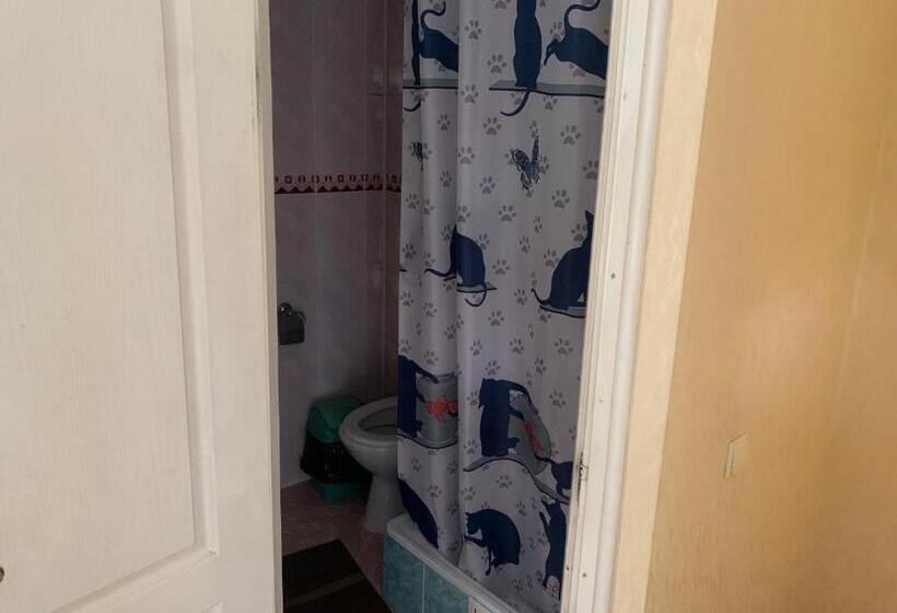 בית מלון כפרי Villa Yaryna