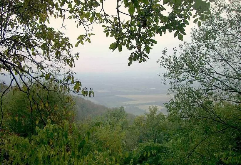 Aamiaismajoitus (B&B) El Pavejo