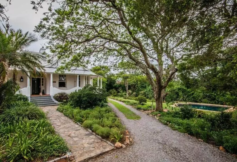 ベッドアンドブレックファースト Mimosa