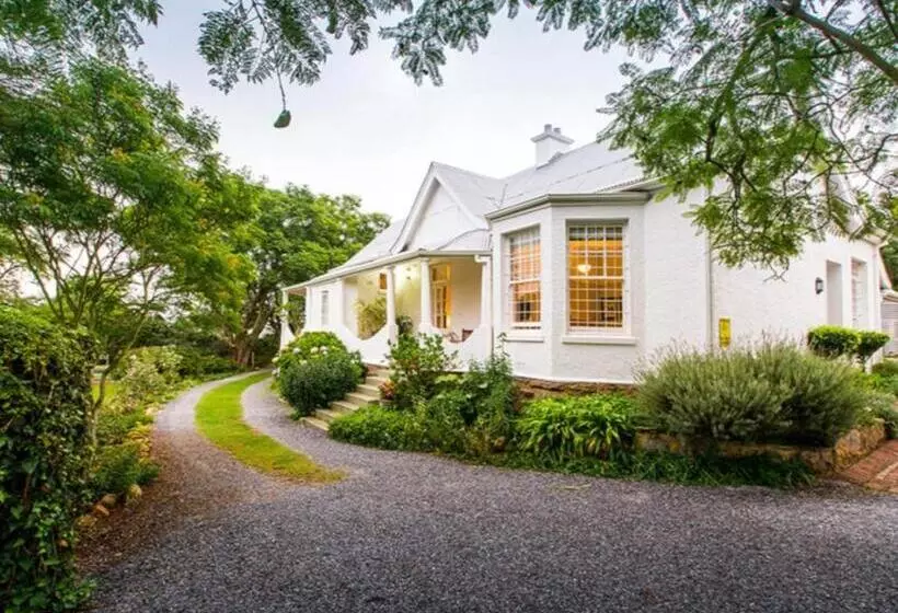 ベッドアンドブレックファースト Mimosa