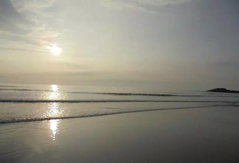 Antique Courtyard B&b