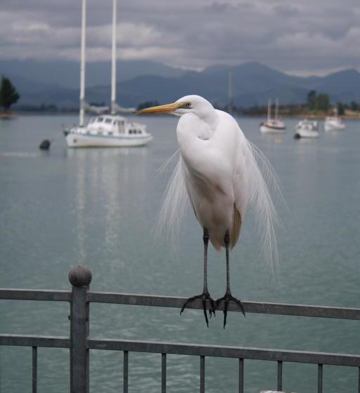 مبيت وإفطار Mapua Wharf Accommodation