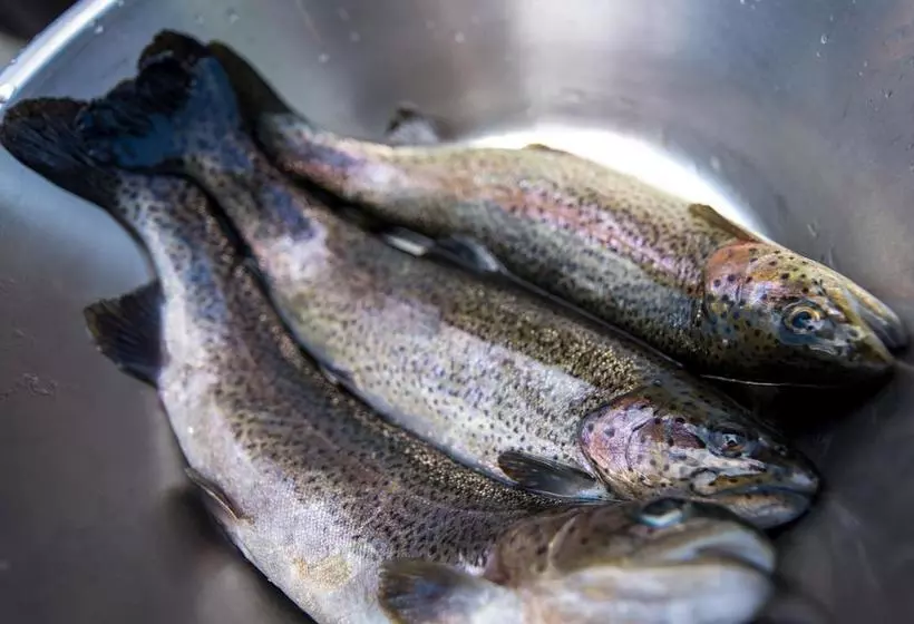 ホテル Gasthof Rabenstein