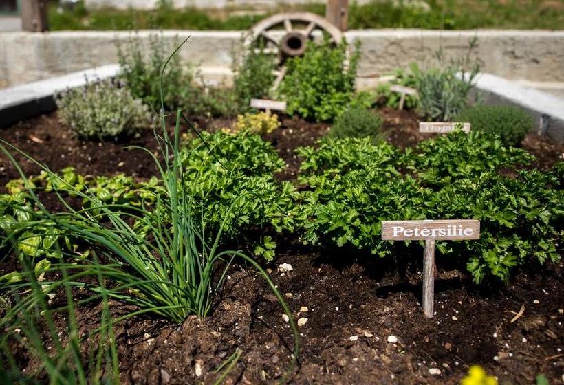 فندق Gasthof Rabenstein