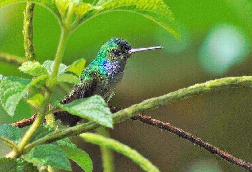 호텔 El Tesoro De Sir