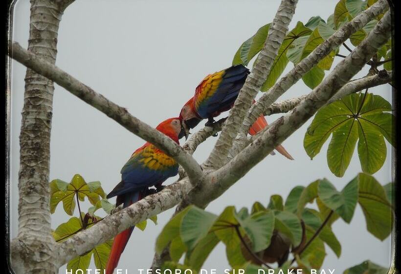 호텔 El Tesoro De Sir