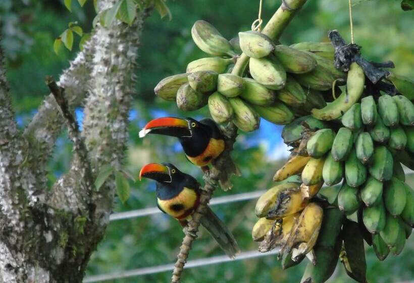 호텔 El Tesoro De Sir