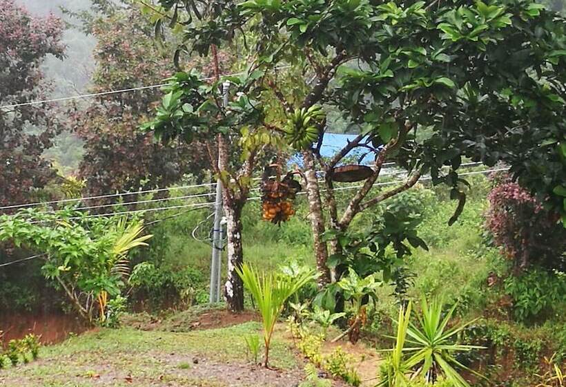 호텔 El Tesoro De Sir