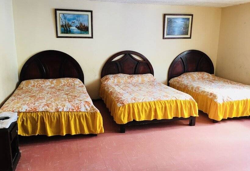 فندق Hospedaje Miami