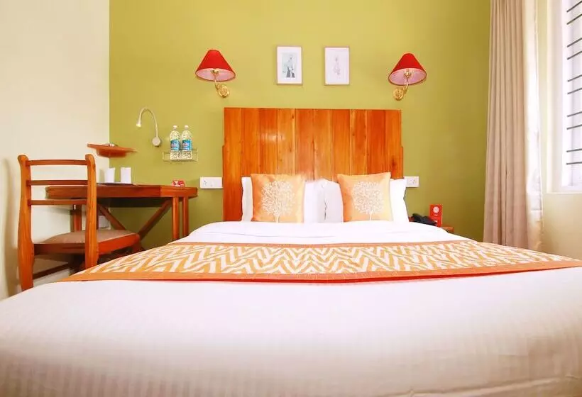 Oyo 10336 Hotel Sn Annex
