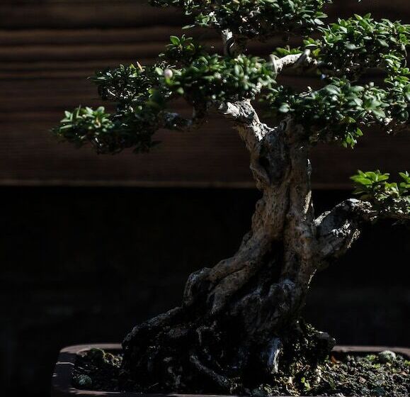 리조트 Tsingpu Yangzhou Retreat