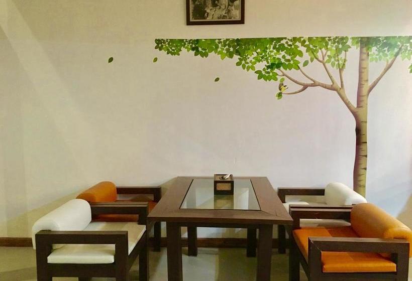 The Corner Transit Hostel