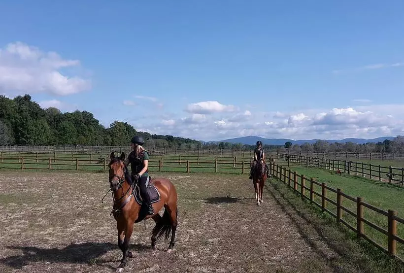 ホテル Foresteria La Rubbianetta