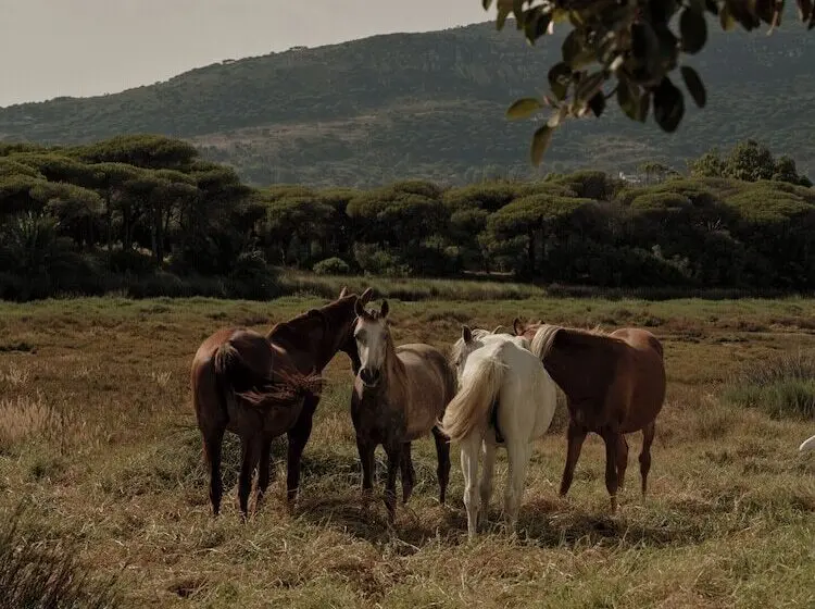 Hotel Oku Andalusia – Alcaidesa