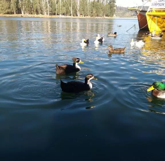 ユースホステル Posada La Piedra