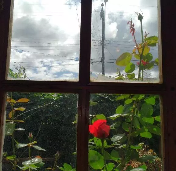 ユースホステル Posada La Piedra