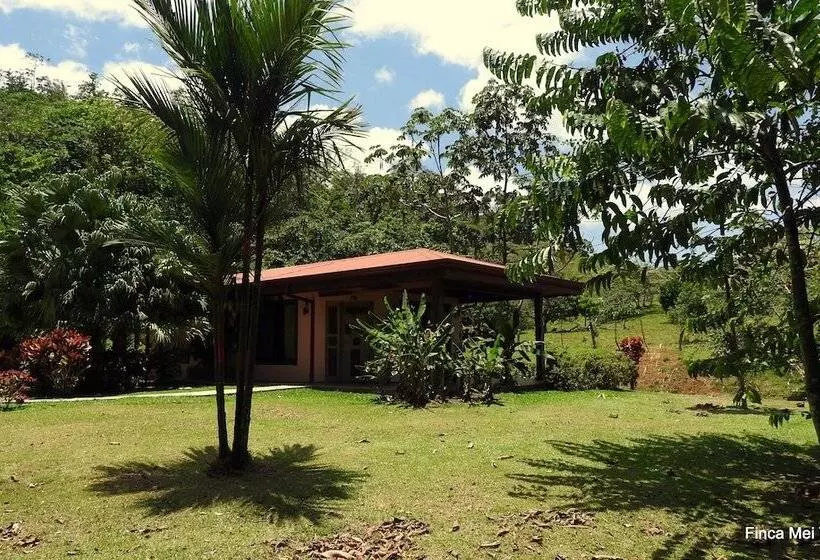 Aamiaismajoitus (B&B) Mei Tai Cacao Lodge