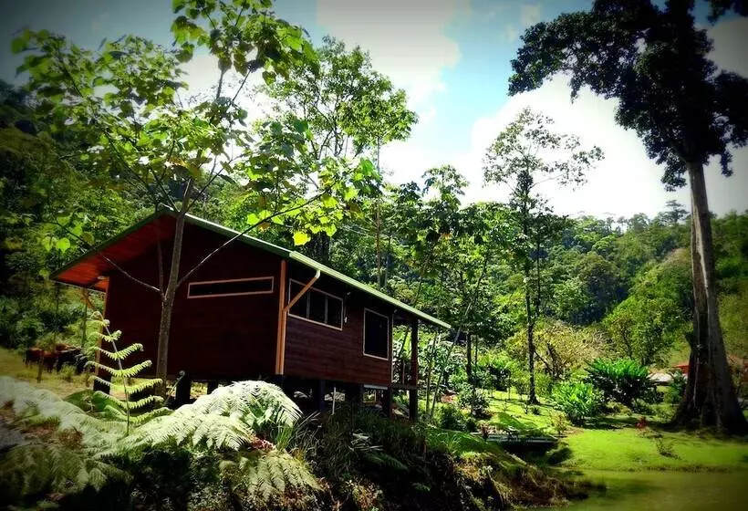 Aamiaismajoitus (B&B) Mei Tai Cacao Lodge