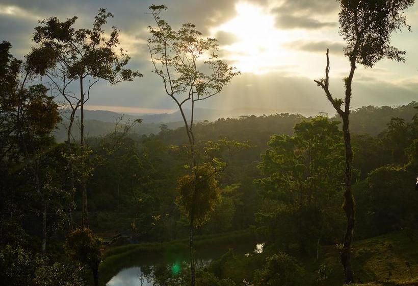 בית מלון כפרי Origins Lodge