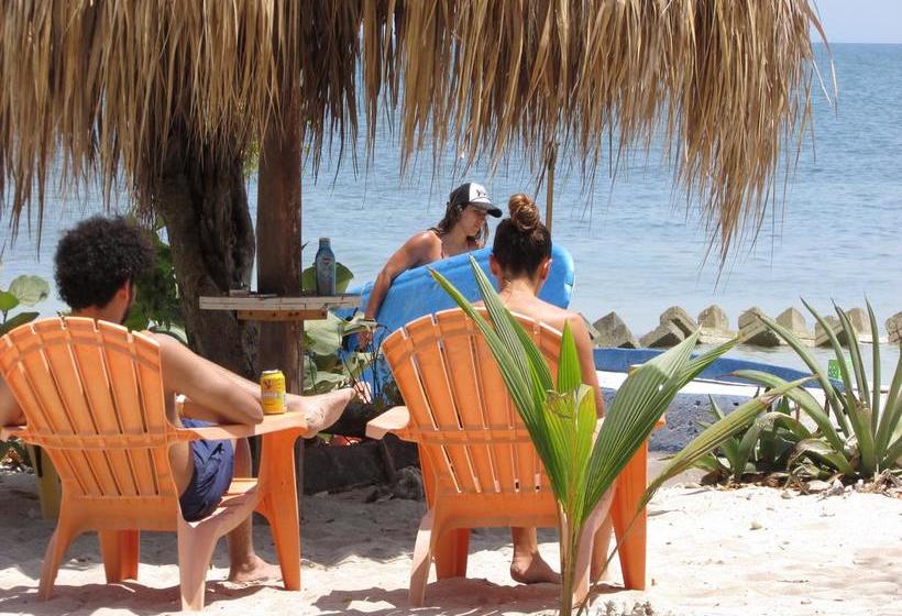호스텔 Isla Luna Beach Barú