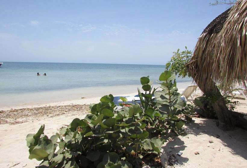 호스텔 Isla Luna Beach Barú