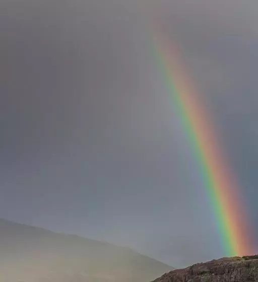 Refugio Chalten Hostel