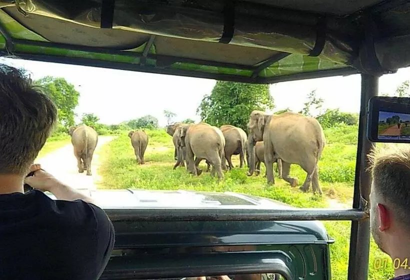 تختخواب و صبحانه Nature Lovers Safari Resort