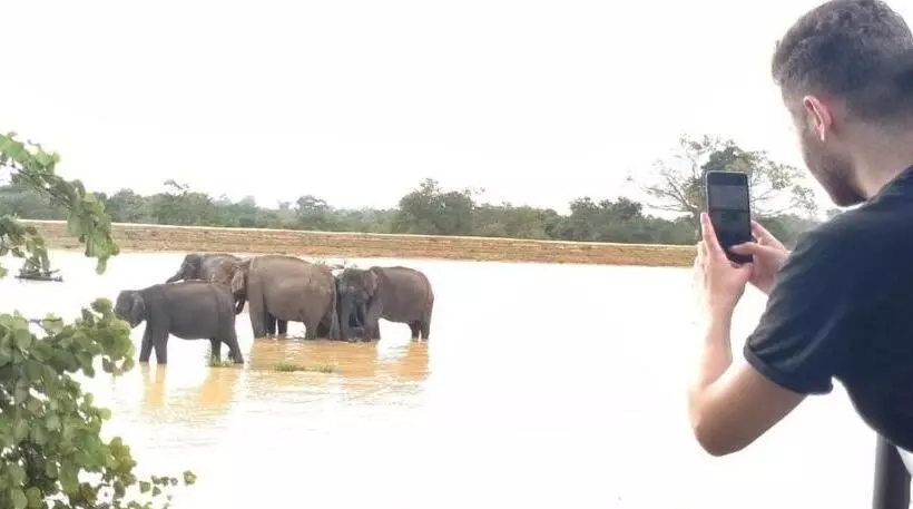 تختخواب و صبحانه Nature Lovers Safari Resort