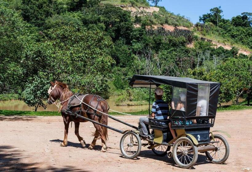 호텔 Fazenda Terra Dos Sonhos