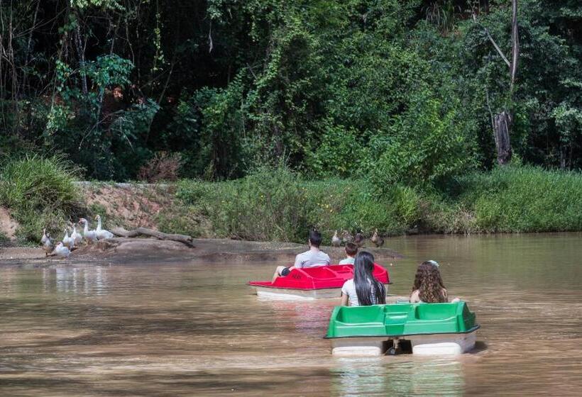 호텔 Fazenda Terra Dos Sonhos