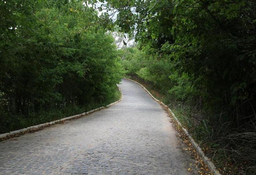 ホテル Highlander