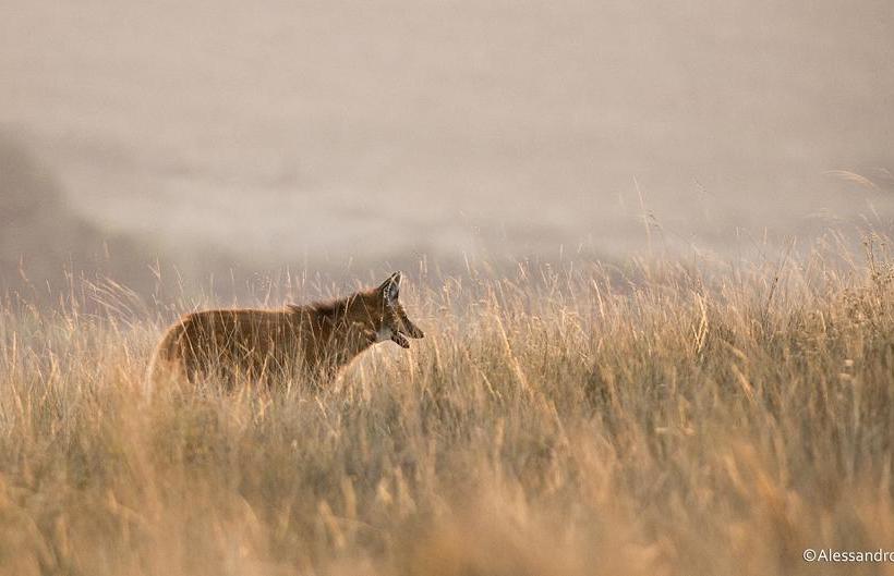 호텔 Recanto Verde