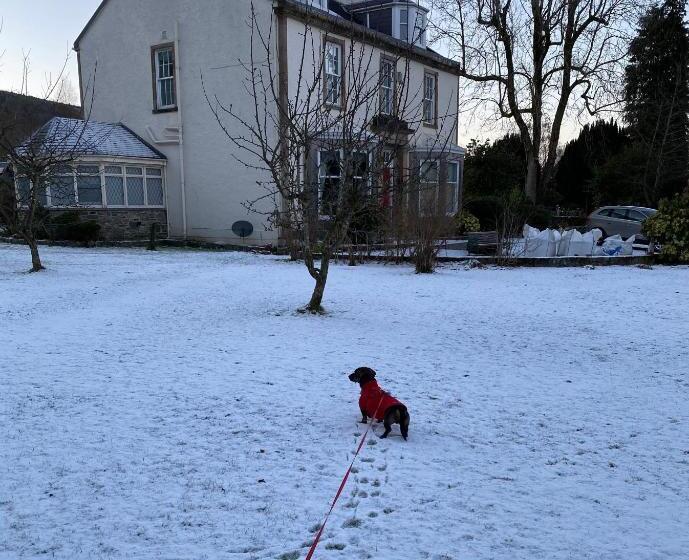 Pension Easter Garth Guest House