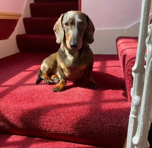 پانسیون Easter Garth Guest House