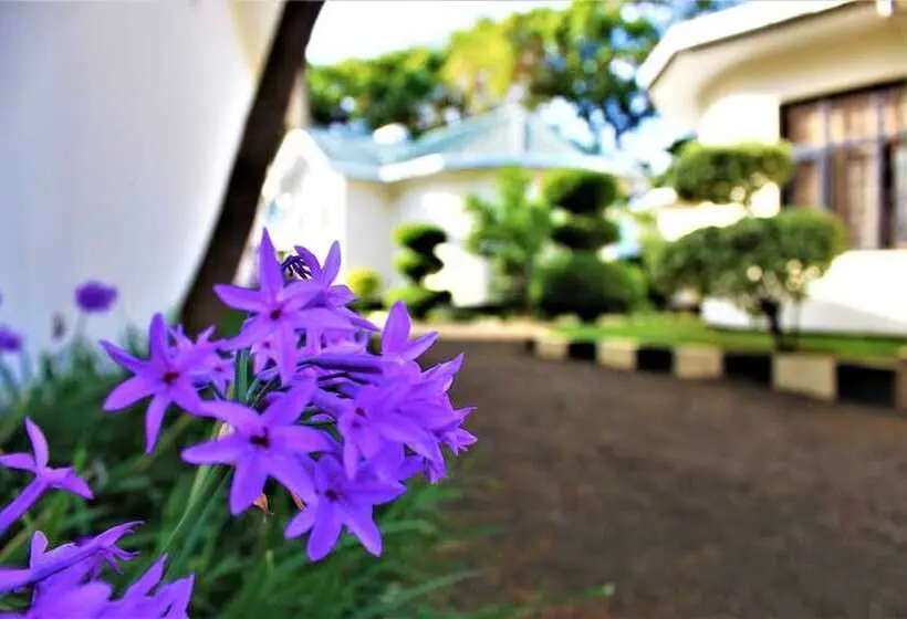ペンション Your Welcome Our Furaha Lodge