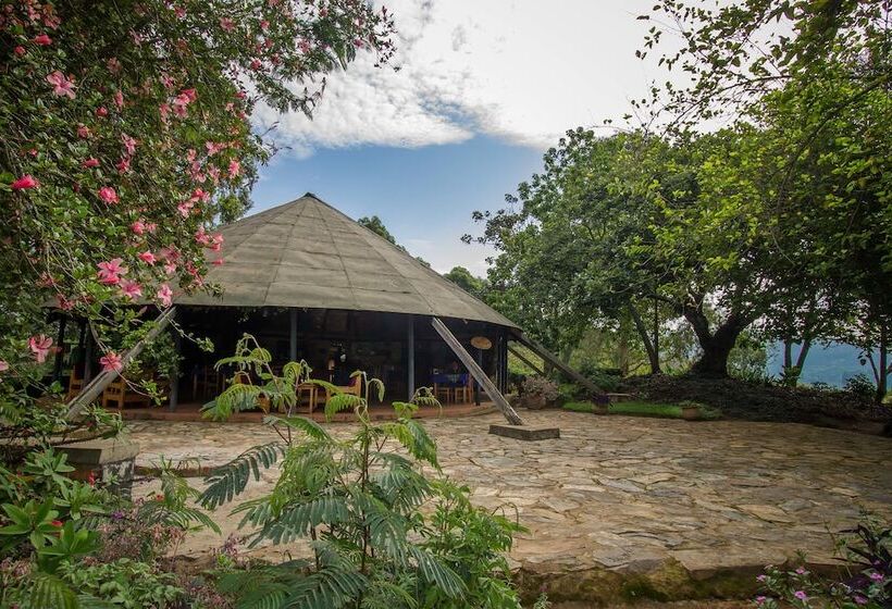 هتل Bushara Island Camp