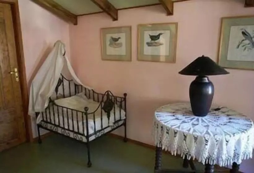 ホテル Palafito Hostel Chiloé