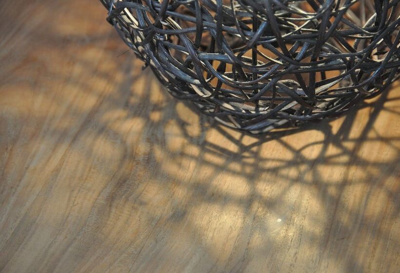 בית מלון כפרי Alphabed B&b