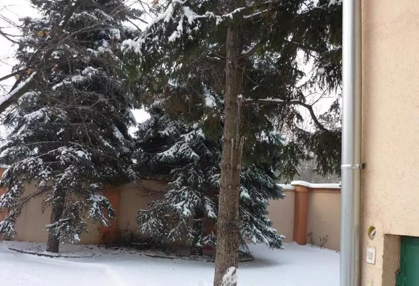 ホテル Jáde Panzió