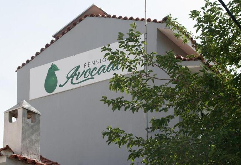 Pension Avocado