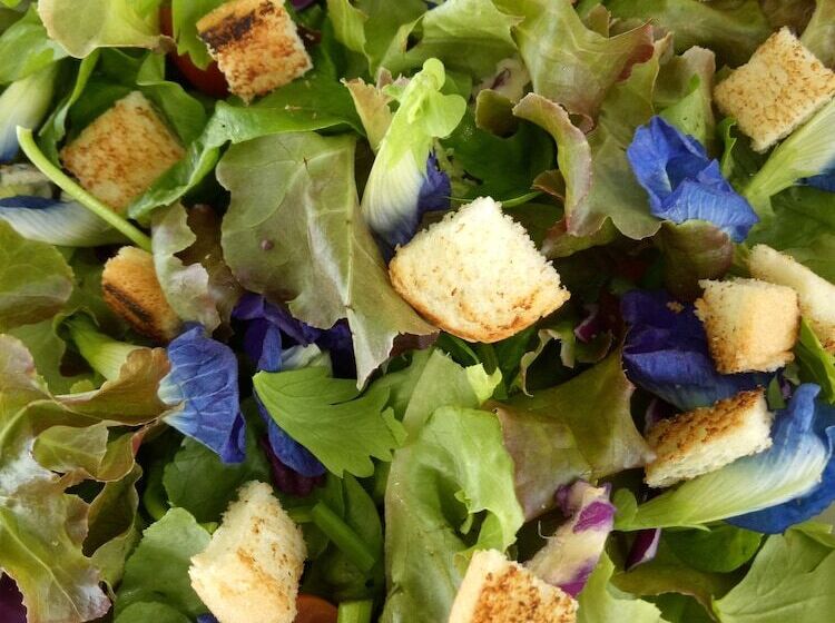 هتل Le Passetemps