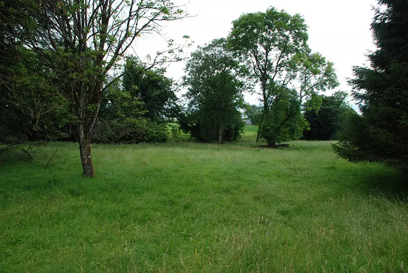 ベッドアンドブレックファースト Derryvree House & Cottage