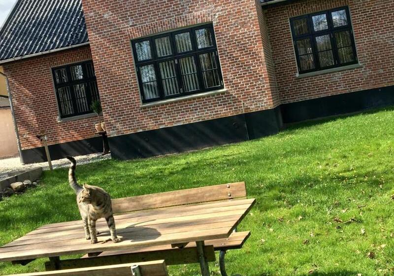 住宿加早餐  Herstedly