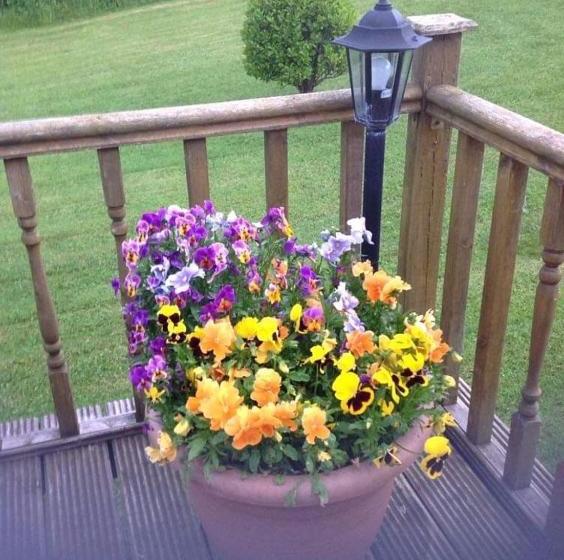 住宿加早餐 Hollycrest Lodge