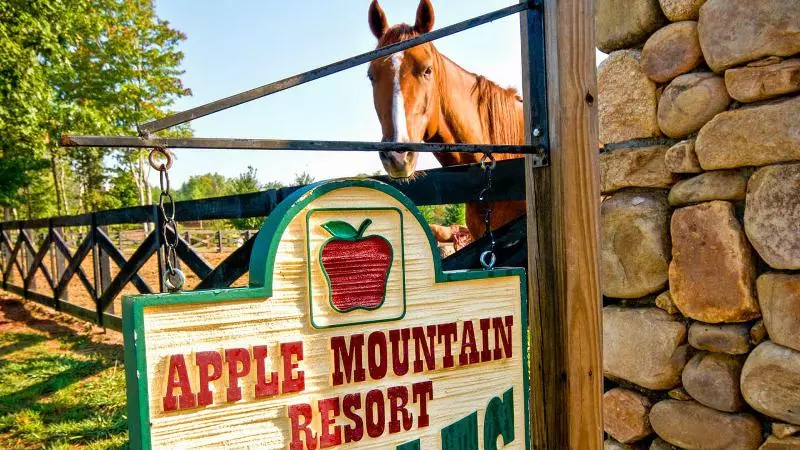 Hotelli Holiday Inn Club Vacations Apple Mountain Resort At Clarkesville